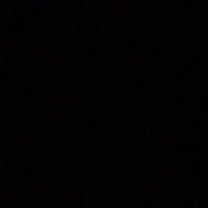 Meet your Posher, Savina